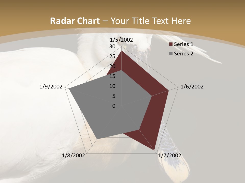 A White Bird With A Blue Tie On It's Neck PowerPoint Template