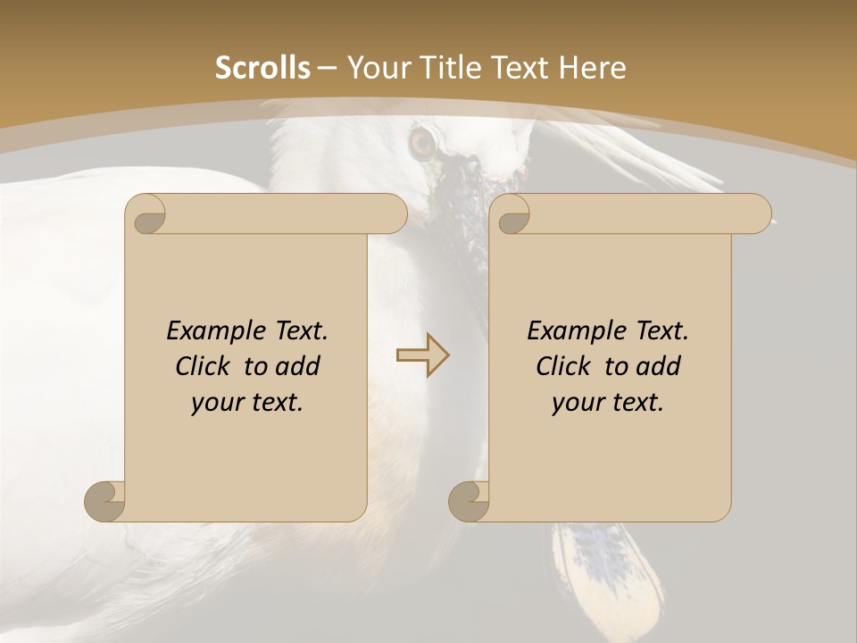 A White Bird With A Blue Tie On It's Neck PowerPoint Template