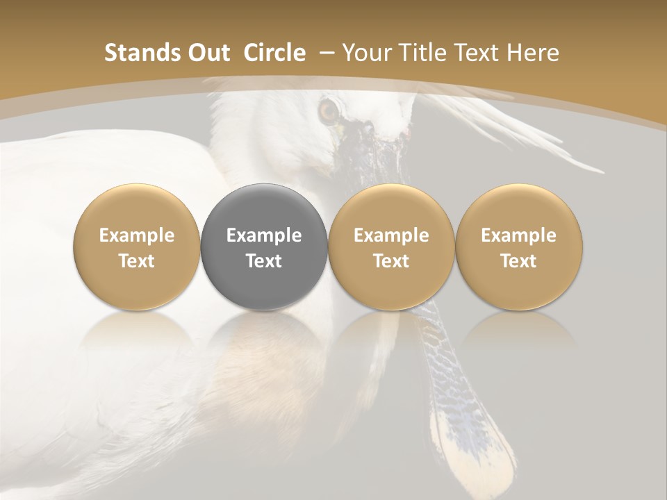 A White Bird With A Blue Tie On It's Neck PowerPoint Template