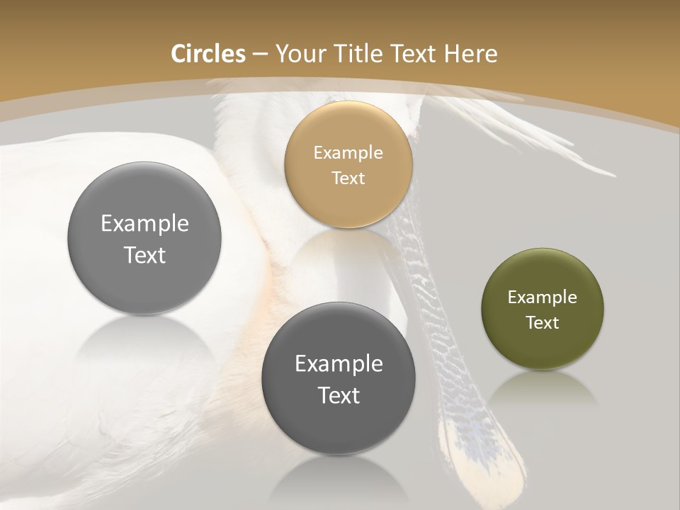 A White Bird With A Blue Tie On It's Neck PowerPoint Template