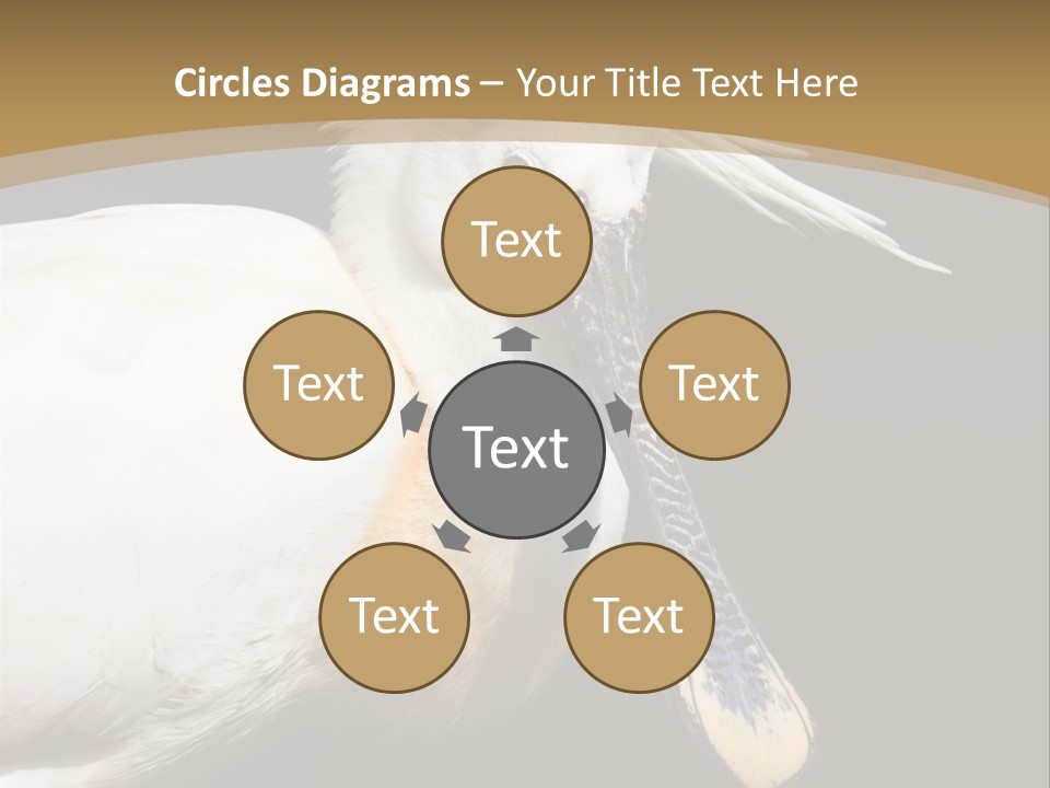 A White Bird With A Blue Tie On It's Neck PowerPoint Template