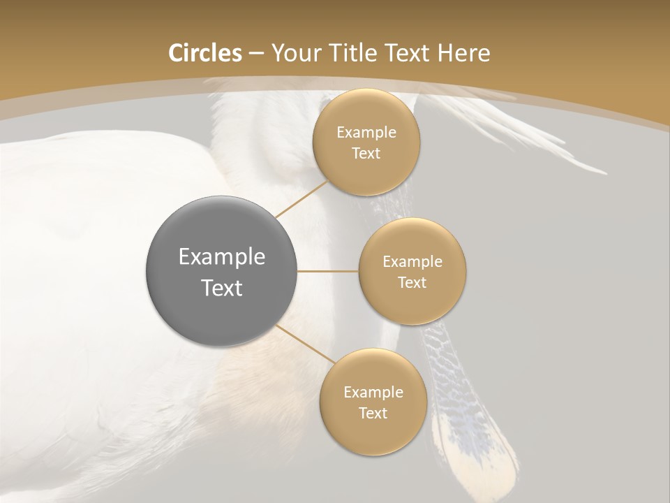 A White Bird With A Blue Tie On It's Neck PowerPoint Template