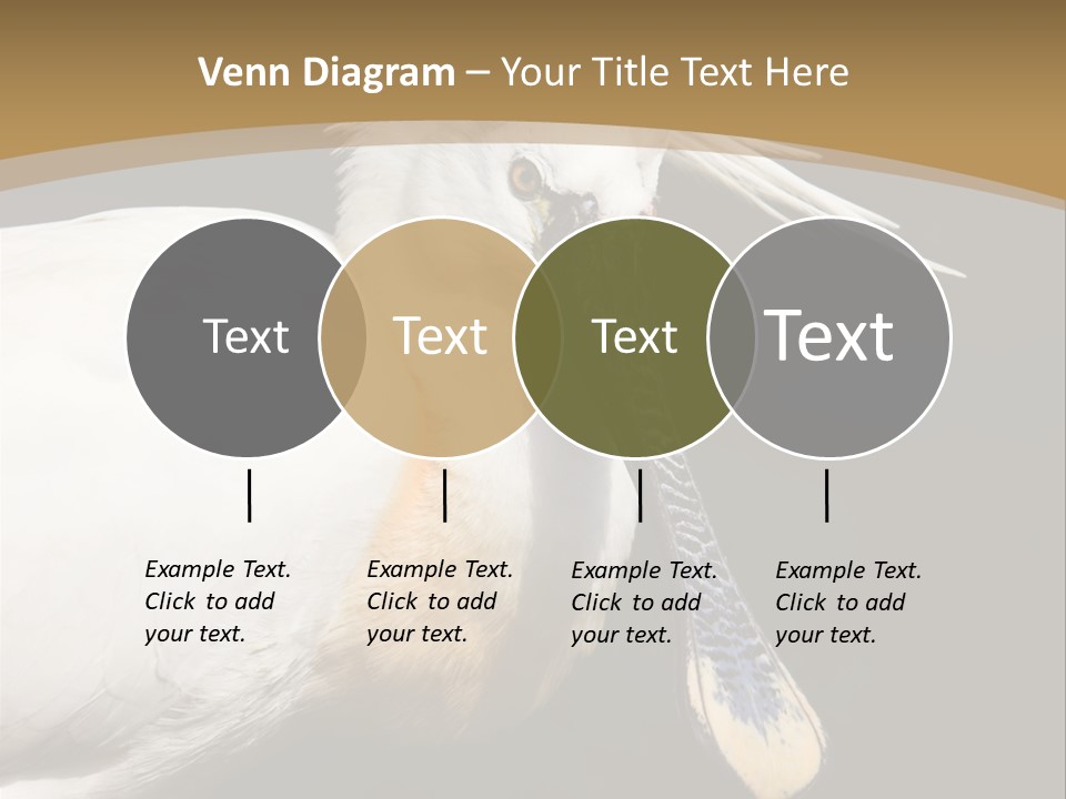 A White Bird With A Blue Tie On It's Neck PowerPoint Template