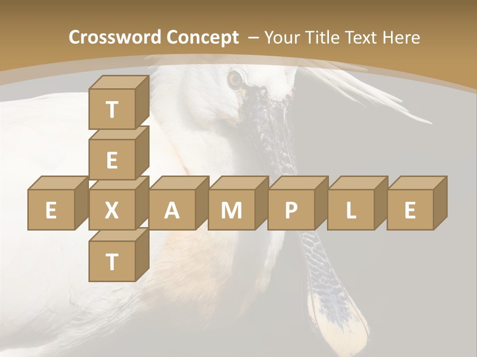 A White Bird With A Blue Tie On It's Neck PowerPoint Template