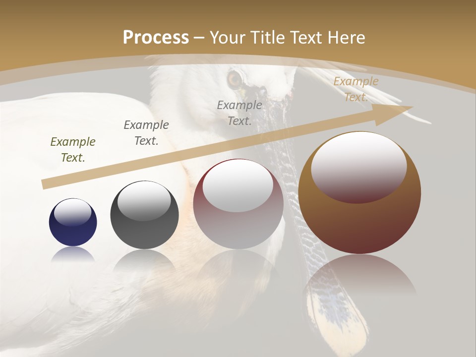 A White Bird With A Blue Tie On It's Neck PowerPoint Template