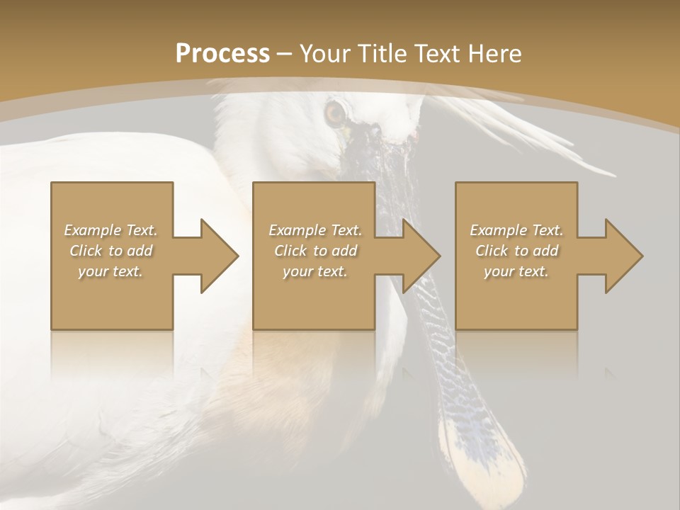 A White Bird With A Blue Tie On It's Neck PowerPoint Template