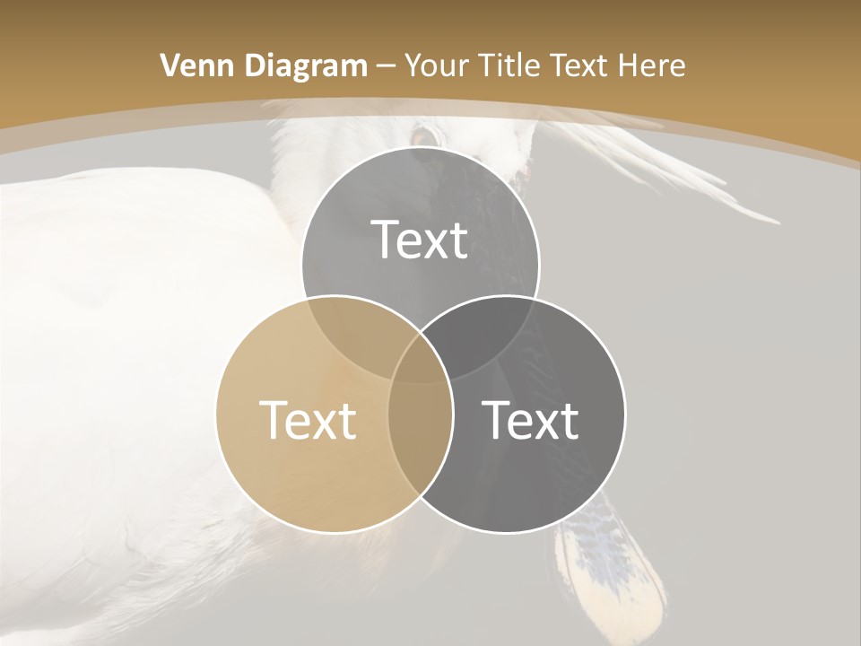 A White Bird With A Blue Tie On It's Neck PowerPoint Template