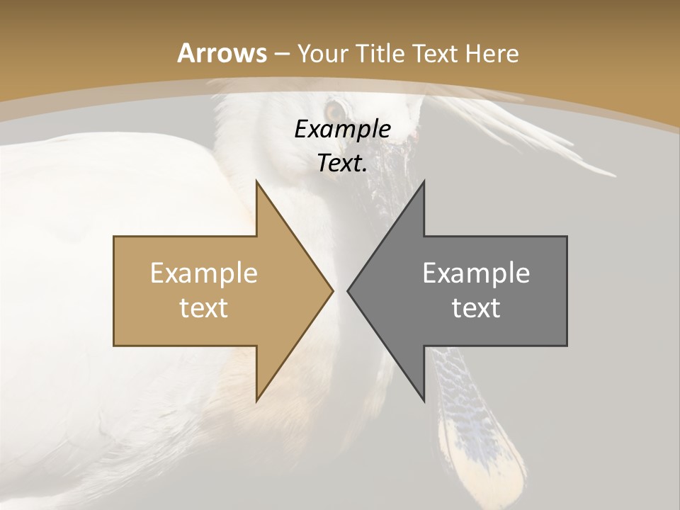 A White Bird With A Blue Tie On It's Neck PowerPoint Template