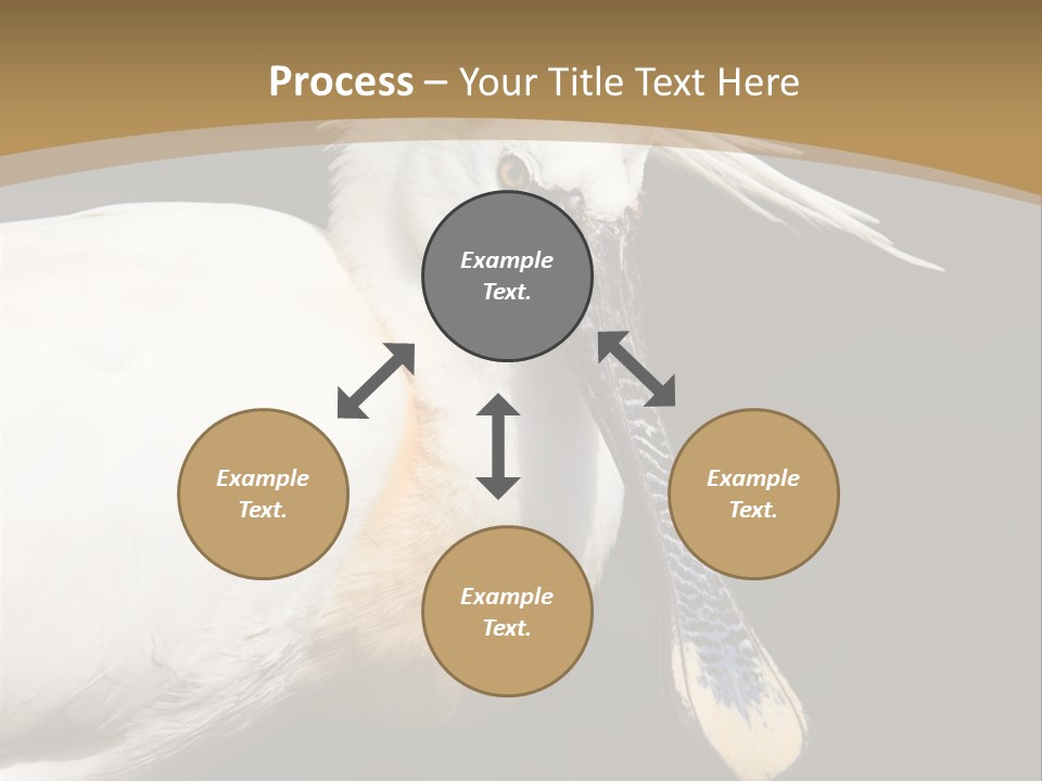 A White Bird With A Blue Tie On It's Neck PowerPoint Template