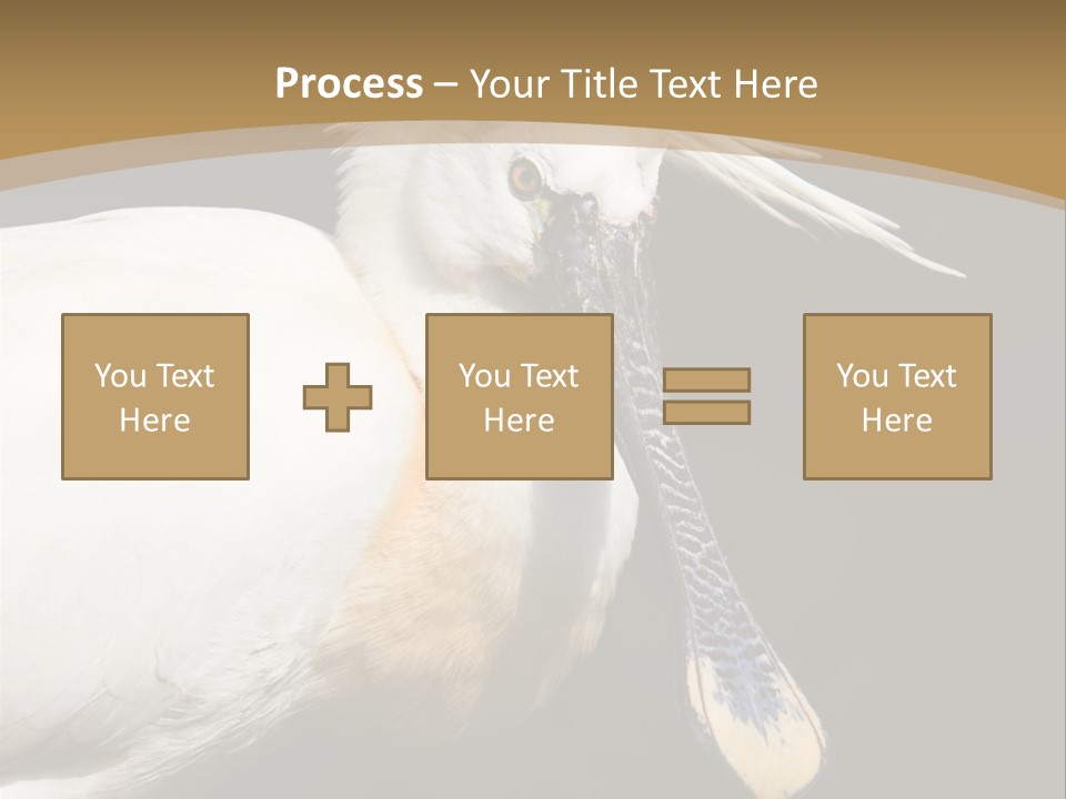 A White Bird With A Blue Tie On It's Neck PowerPoint Template