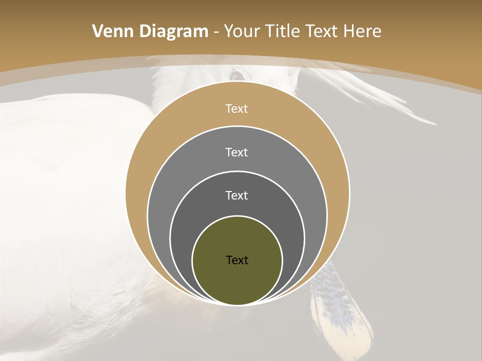 A White Bird With A Blue Tie On It's Neck PowerPoint Template