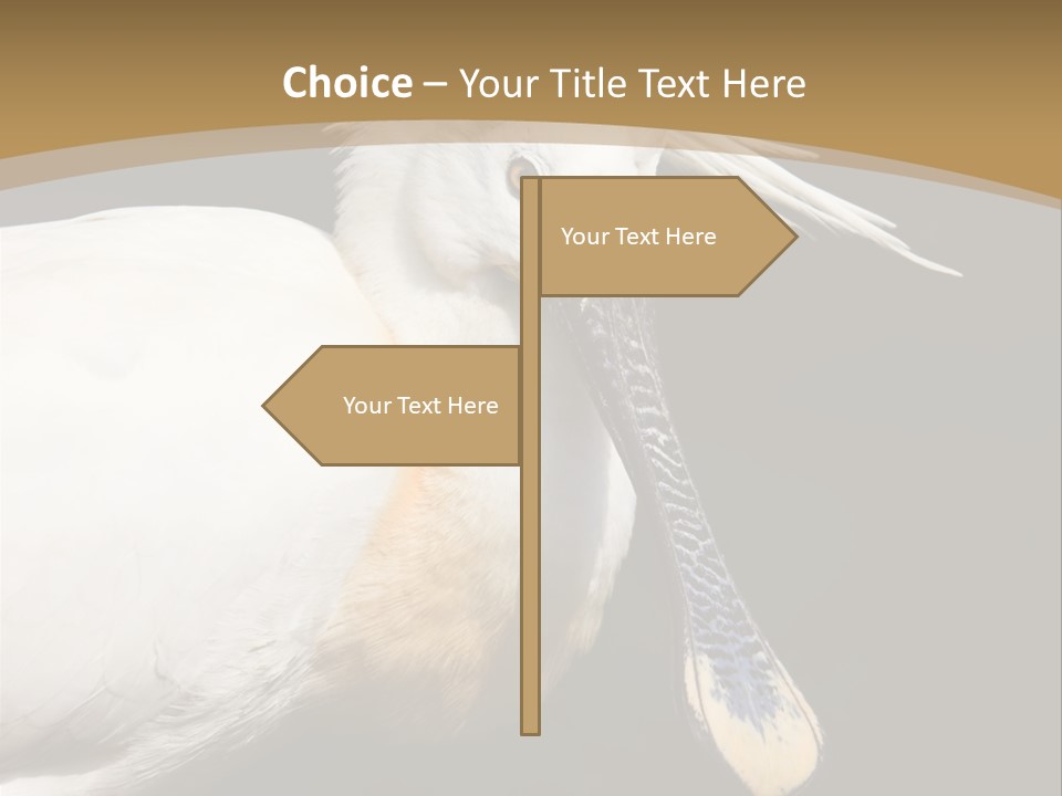 A White Bird With A Blue Tie On It's Neck PowerPoint Template