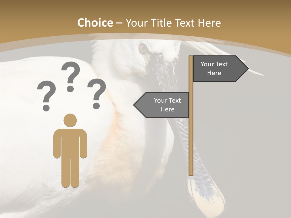 A White Bird With A Blue Tie On It's Neck PowerPoint Template