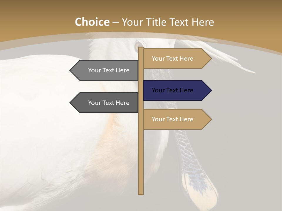 A White Bird With A Blue Tie On It's Neck PowerPoint Template