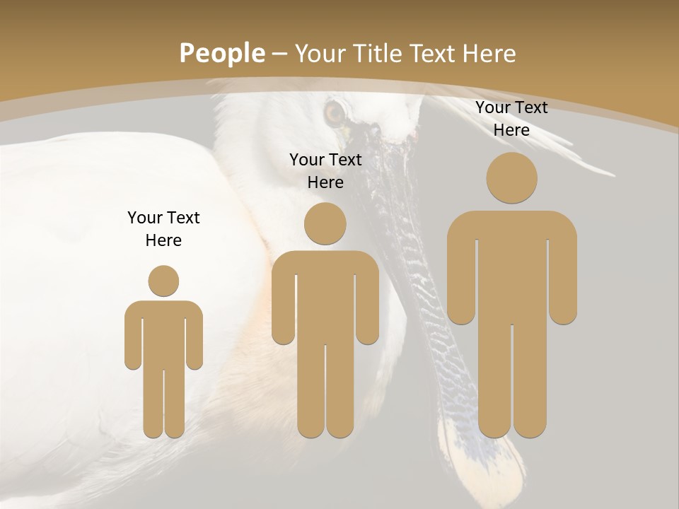 A White Bird With A Blue Tie On It's Neck PowerPoint Template