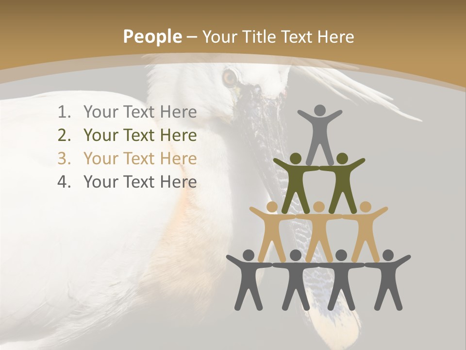 A White Bird With A Blue Tie On It's Neck PowerPoint Template