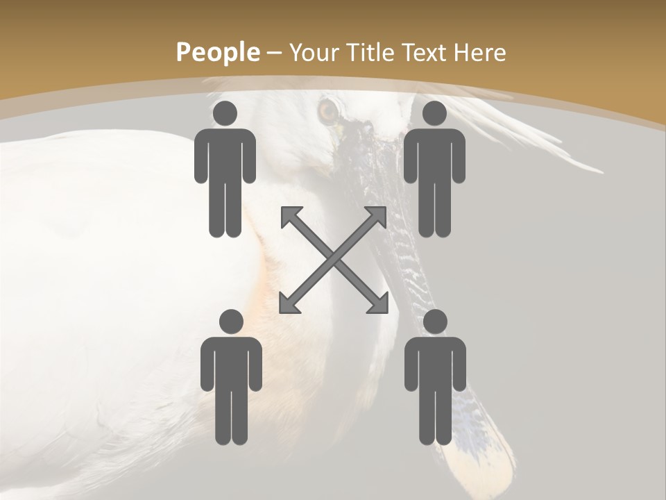 A White Bird With A Blue Tie On It's Neck PowerPoint Template