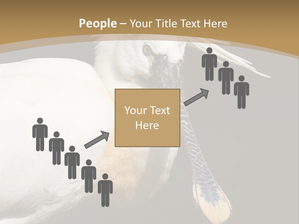 A White Bird With A Blue Tie On It's Neck PowerPoint Template