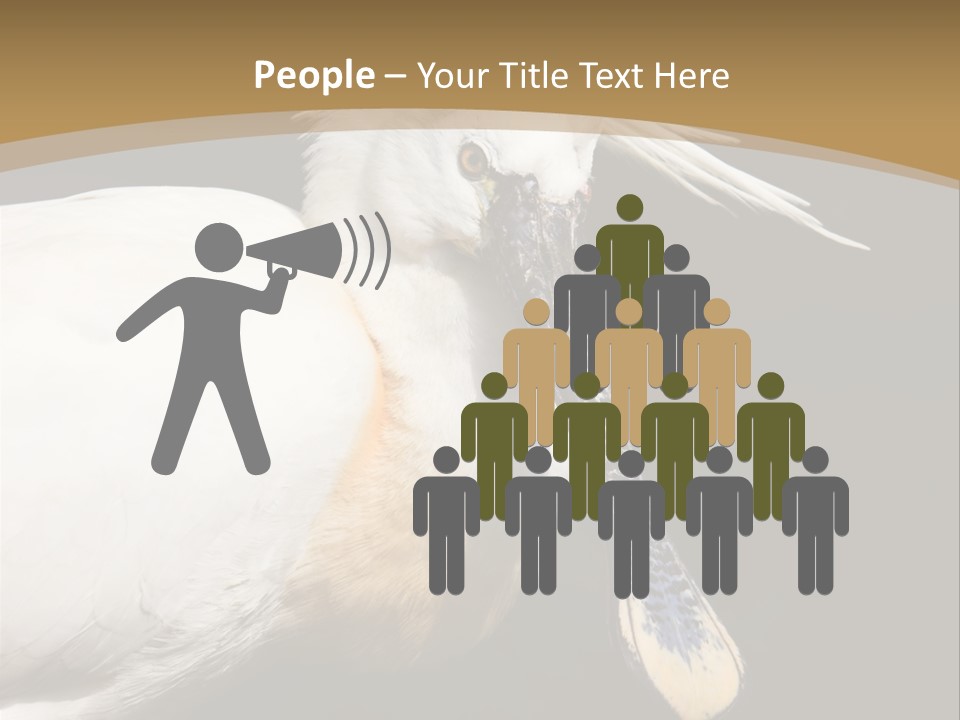 A White Bird With A Blue Tie On It's Neck PowerPoint Template