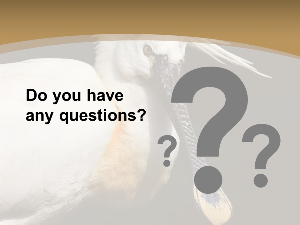 A White Bird With A Blue Tie On It's Neck PowerPoint Template