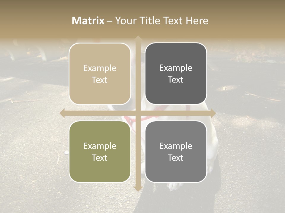 Nature PowerPoint Template