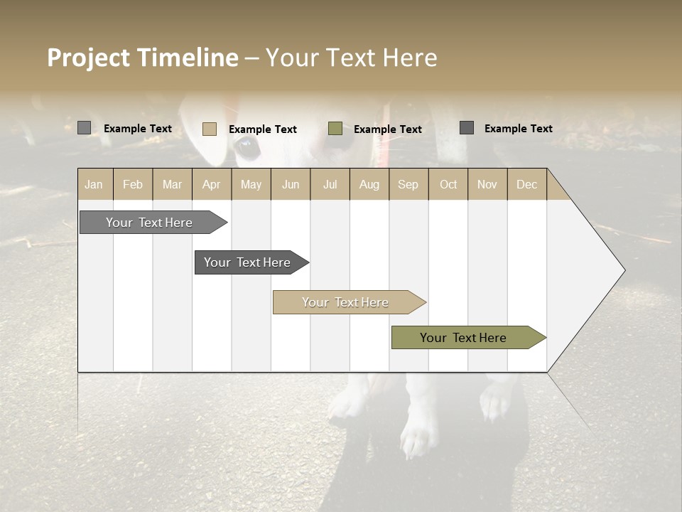 Nature PowerPoint Template