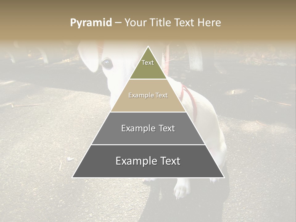 Nature PowerPoint Template