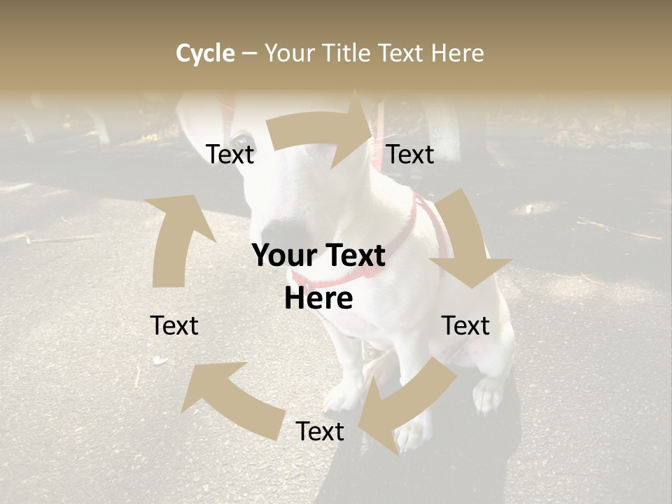 Nature PowerPoint Template