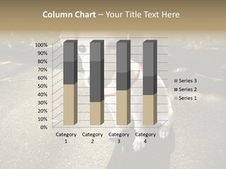 Nature PowerPoint Template