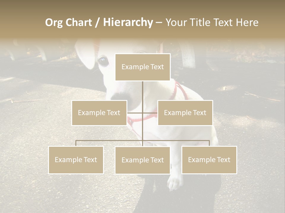 Nature PowerPoint Template