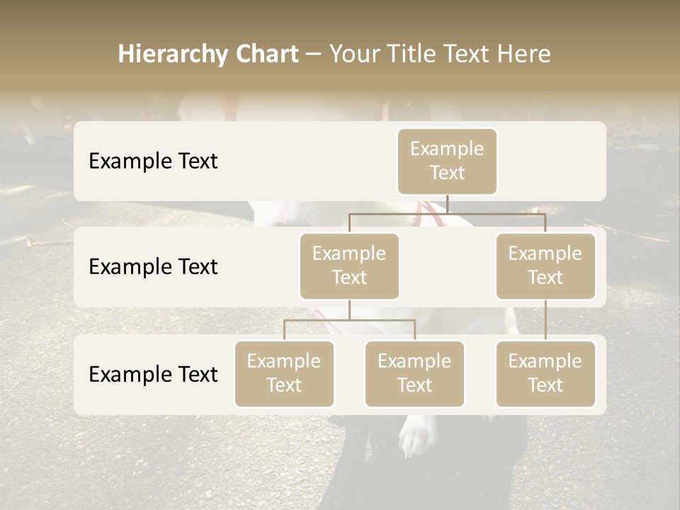 Nature PowerPoint Template
