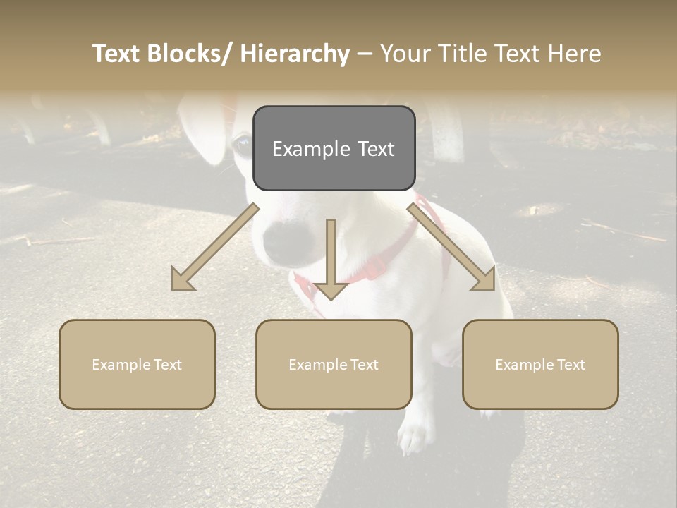 Nature PowerPoint Template