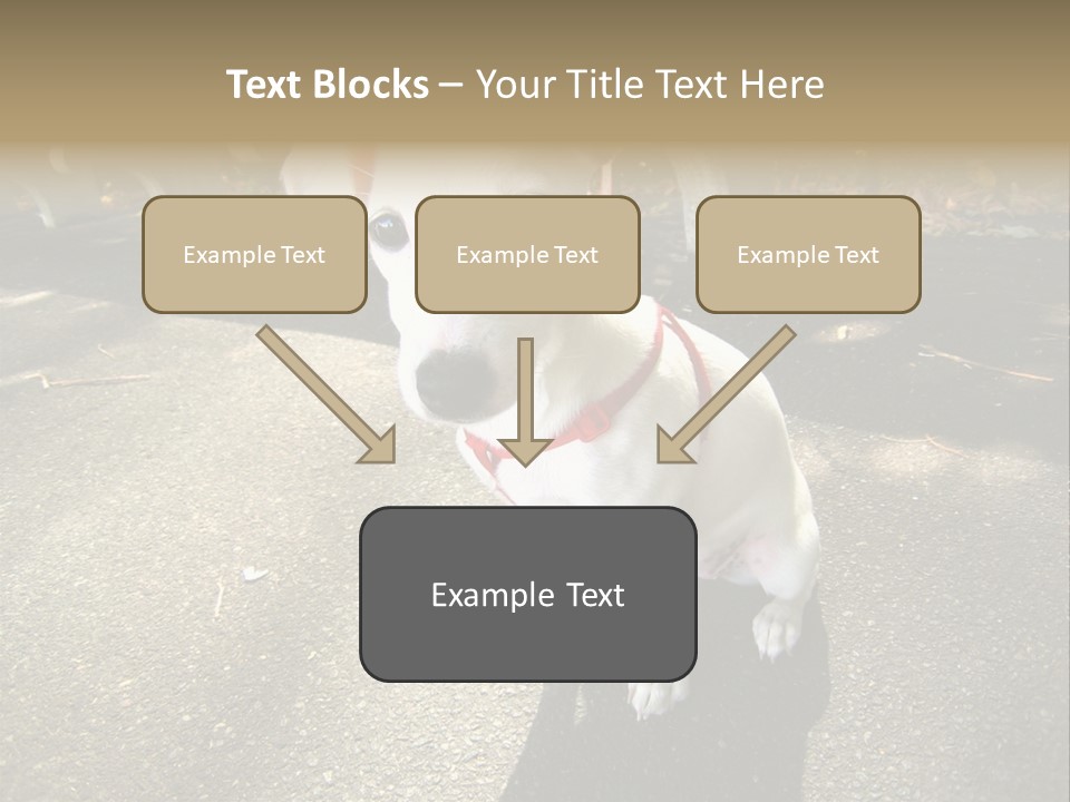 Nature PowerPoint Template