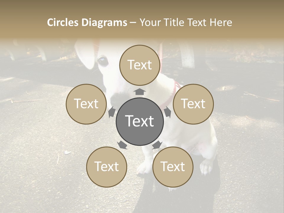 Nature PowerPoint Template