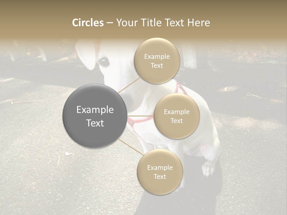 Nature PowerPoint Template