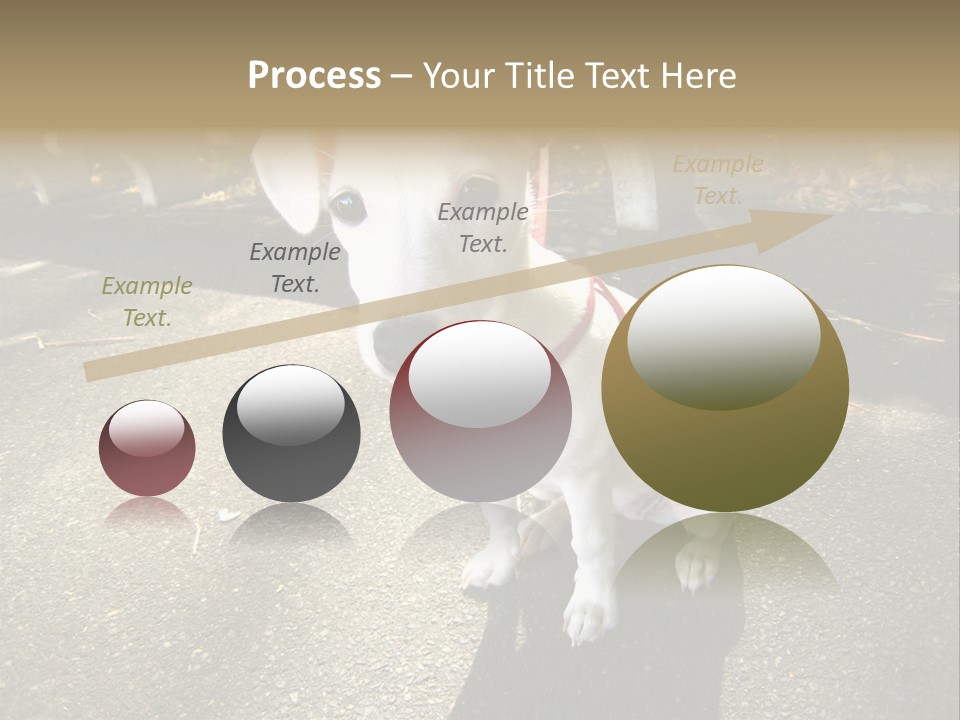 Nature PowerPoint Template