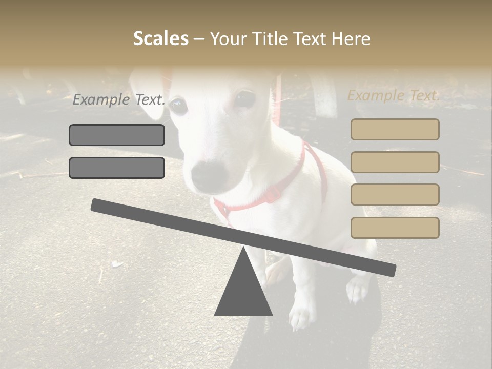 Nature PowerPoint Template