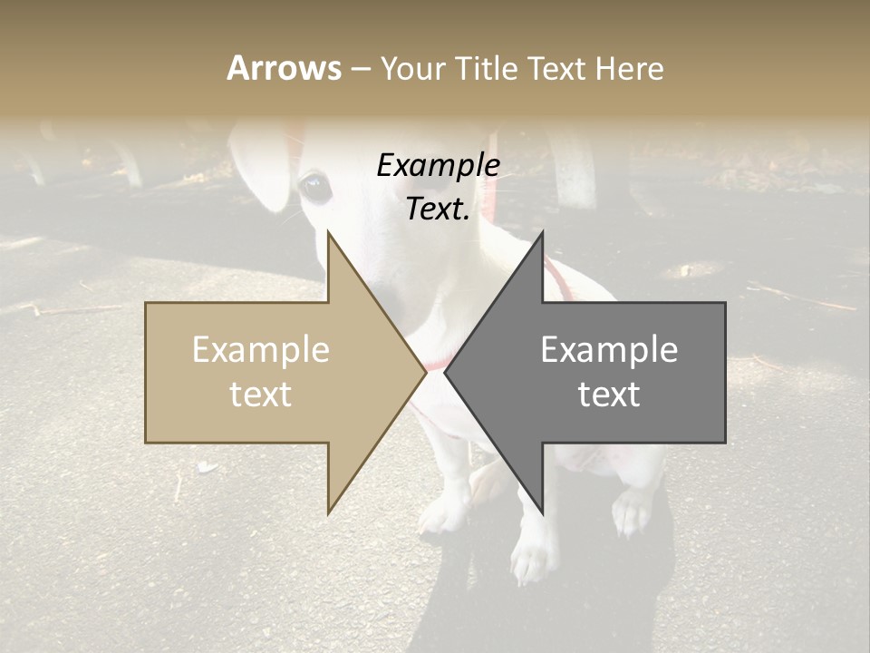 Nature PowerPoint Template