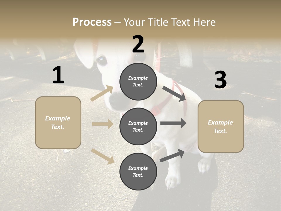 Nature PowerPoint Template