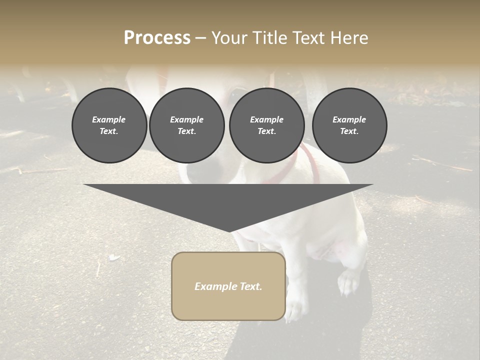 Nature PowerPoint Template