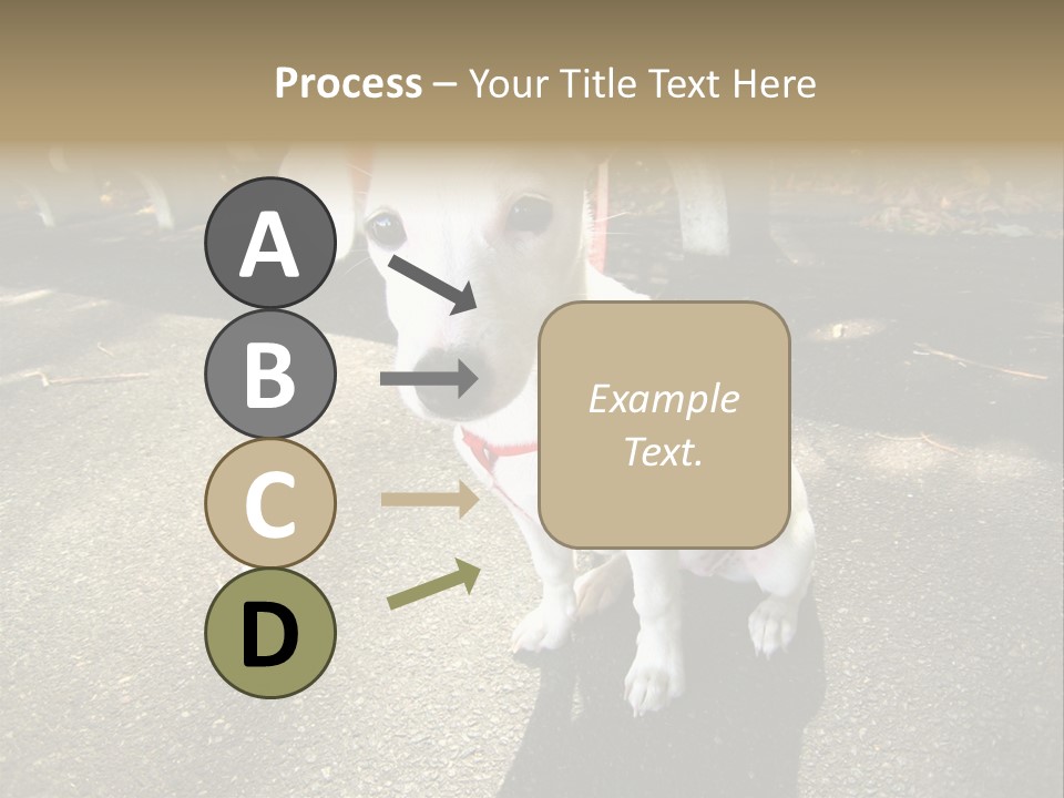 Nature PowerPoint Template