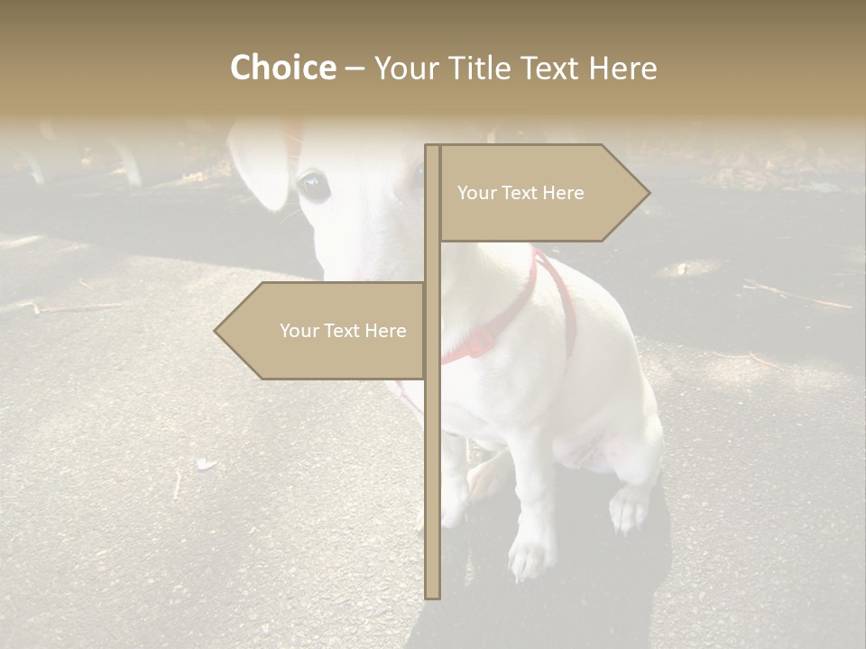 Nature PowerPoint Template