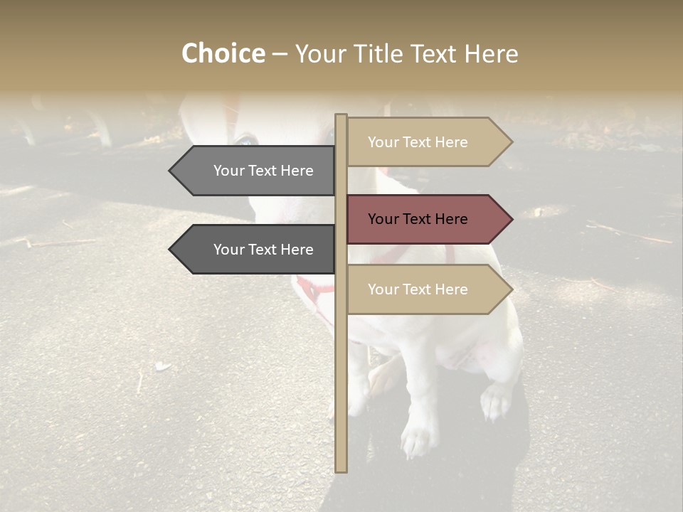 Nature PowerPoint Template