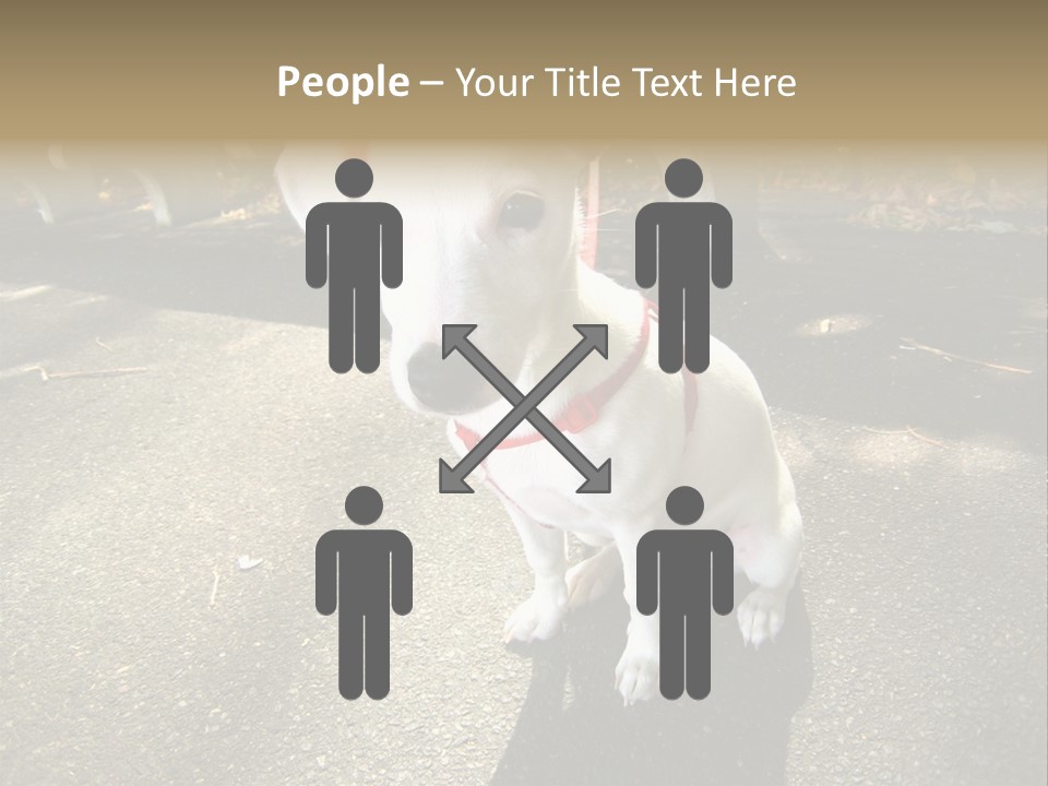 Nature PowerPoint Template