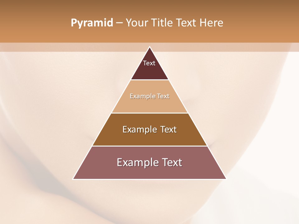 The Grand Stand Of Sepang International Circuit, Malaysia PowerPoint Template