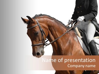 A Woman Riding On The Back Of A Brown Horse PowerPoint Template