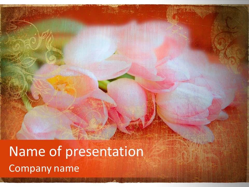 Pink Tulips On Orange Grunge Paper Page Background With Damaged Edges And Rich Texture PowerPoint Template