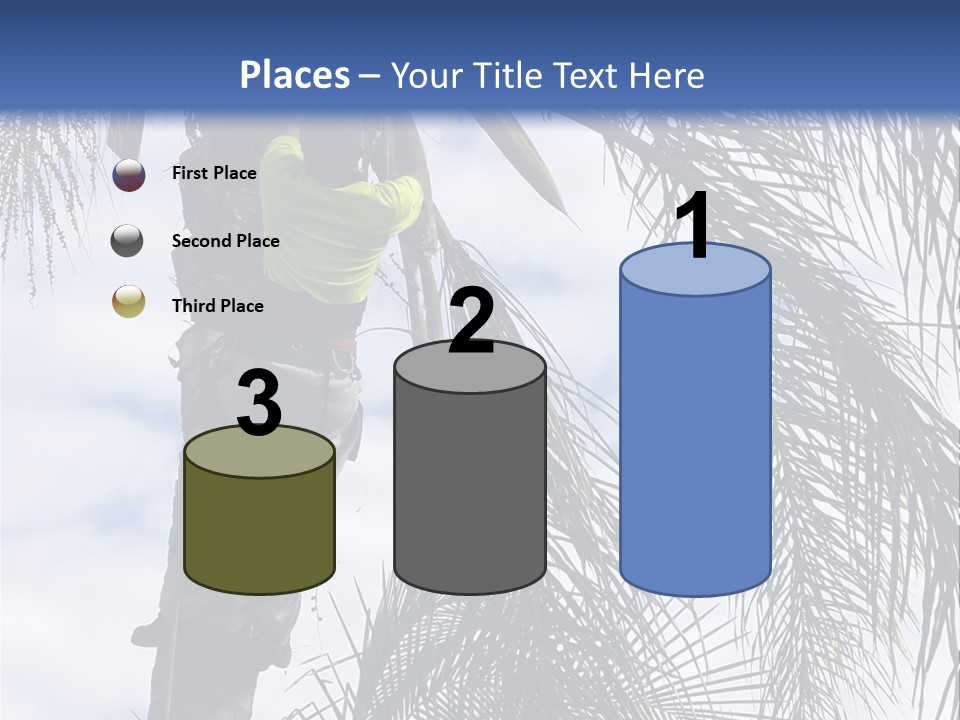 A Man In A Tree Trimming A Palm Tree PowerPoint Template