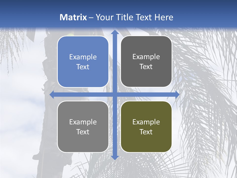 A Man In A Tree Trimming A Palm Tree PowerPoint Template