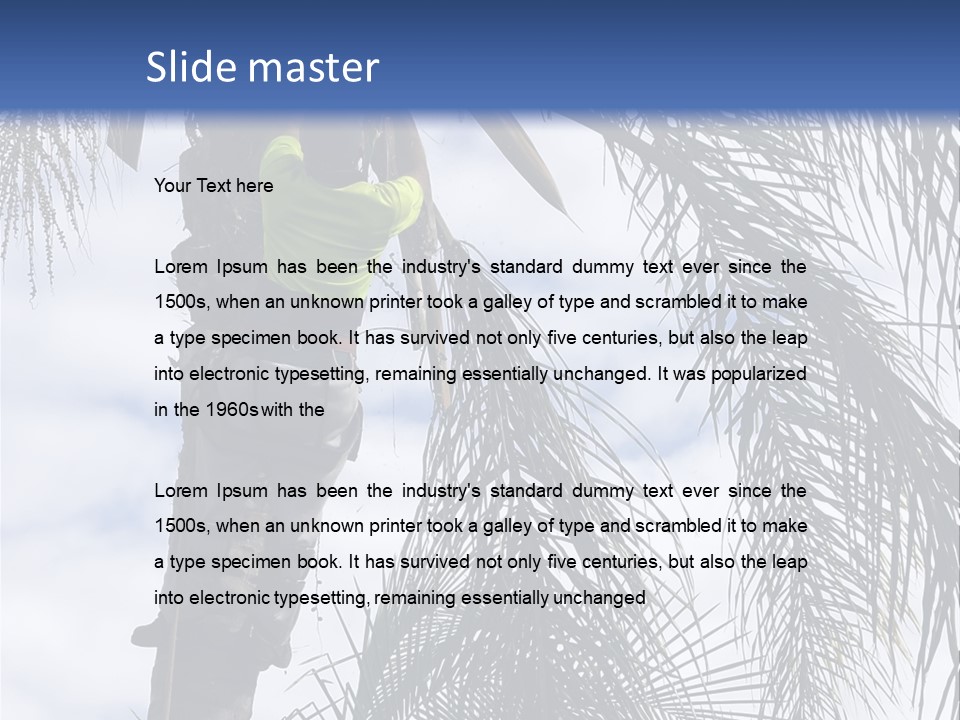A Man In A Tree Trimming A Palm Tree PowerPoint Template